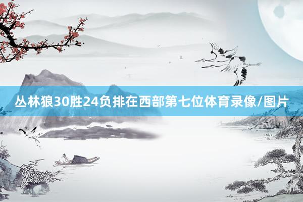 丛林狼30胜24负排在西部第七位体育录像/图片